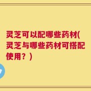 灵芝可以配哪些药材(灵芝与哪些药材可搭配使用？)
