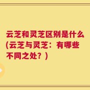云芝和灵芝区别是什么(云芝与灵芝：有哪些不同之处？)