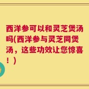 西洋参可以和灵芝煲汤吗(西洋参与灵芝同煲汤，这些功效让您惊喜！)
