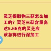 灵芝提取物三萜怎么加工的？灵芝三萜含量高达5.66克的灵芝应该怎样进行深加工