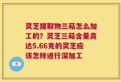 灵芝提取物三萜怎么加工的？灵芝三萜含量高达5.66克的灵芝应该怎样进行深加工
