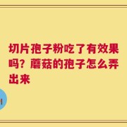 切片孢子粉吃了有效果吗？蘑菇的孢子怎么弄出来