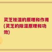 灵芝祛湿的原理和作用(灵芝的除湿原理和功效)