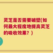 灵芝是否需要破壁(如何最大程度地提高灵芝的吸收效果？)