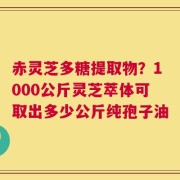赤灵芝多糖提取物？1000公斤灵芝萃体可取出多少公斤纯孢子油