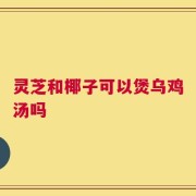 灵芝和椰子可以煲乌鸡汤吗