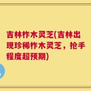 吉林柞木灵芝(吉林出现珍稀柞木灵芝，抢手程度超预期)
