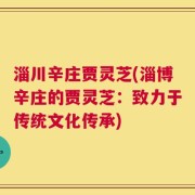 淄川辛庄贾灵芝(淄博辛庄的贾灵芝：致力于传统文化传承)