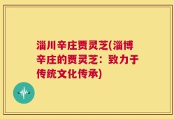 淄川辛庄贾灵芝(淄博辛庄的贾灵芝：致力于传统文化传承)