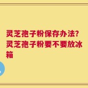 灵芝孢子粉保存办法？灵芝孢子粉要不要放冰箱