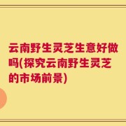 云南野生灵芝生意好做吗(探究云南野生灵芝的市场前景)