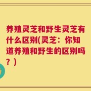 养殖灵芝和野生灵芝有什么区别(灵芝：你知道养殖和野生的区别吗？)