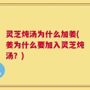 灵芝炖汤为什么加姜(姜为什么要加入灵芝炖汤？)