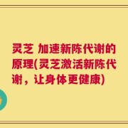 灵芝 加速新陈代谢的原理(灵芝激活新陈代谢，让身体更健康)