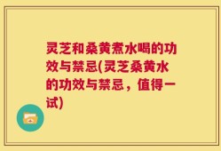 灵芝和桑黄煮水喝的功效与禁忌(灵芝桑黄水的功效与禁忌，值得一试)