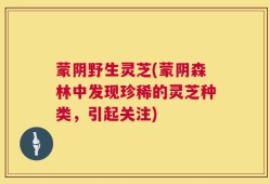 蒙阴野生灵芝(蒙阴森林中发现珍稀的灵芝种类，引起关注)