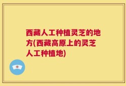 西藏人工种植灵芝的地方(西藏高原上的灵芝人工种植地)