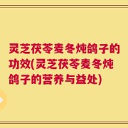 灵芝茯苓麦冬炖鸽子的功效(灵芝茯苓麦冬炖鸽子的营养与益处)