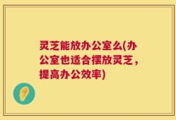 灵芝能放办公室么(办公室也适合摆放灵芝，提高办公效率)
