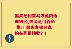 黑灵芝何首乌发乳附近白银区(黑灵芝何首乌 发汁 附近白银区真的有药用植物？)