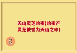 天山灵芝哈密(哈密产灵芝被誉为天山之珍)