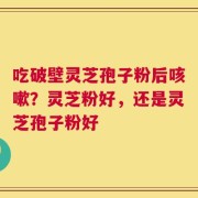 吃破壁灵芝孢子粉后咳嗽？灵芝粉好，还是灵芝孢子粉好