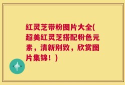 红灵芝带粉图片大全(超美红灵芝搭配粉色元素，清新别致，欣赏图片集锦！)