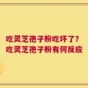吃灵芝孢子粉吃坏了？吃灵芝孢子粉有何反应