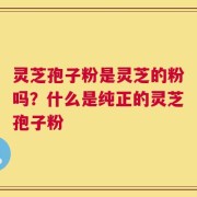 灵芝孢子粉是灵芝的粉吗？什么是纯正的灵芝孢子粉