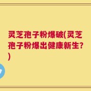 灵芝孢子粉爆破(灵芝孢子粉爆出健康新生？)