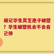 胡记华生灵芝孢子破壁？华生破壁机会不会自己停