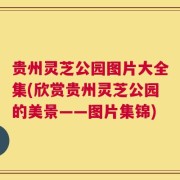 贵州灵芝公园图片大全集(欣赏贵州灵芝公园的美景——图片集锦)