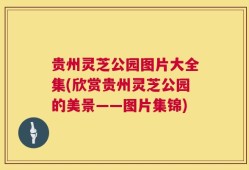 贵州灵芝公园图片大全集(欣赏贵州灵芝公园的美景——图片集锦)