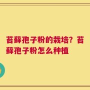 苔藓孢子粉的栽培？苔藓孢子粉怎么种植