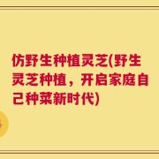 仿野生种植灵芝(野生灵芝种植，开启家庭自己种菜新时代)