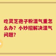 吃灵芝孢子粉湿气重怎么办？小妙招解决湿气问题？