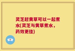 灵芝赶黄草可以一起煮水(灵芝与黄草煮水，药效更佳)