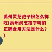 禹州灵芝孢子粉怎么样吃(禹州灵芝孢子粉的正确食用方法是什么？)