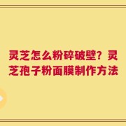 灵芝怎么粉碎破壁？灵芝孢子粉面膜制作方法