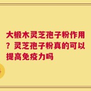 大椴木灵芝孢子粉作用？灵芝孢子粉真的可以提高免疫力吗