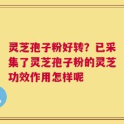 灵芝孢子粉好转？已采集了灵芝孢子粉的灵芝功效作用怎样呢