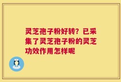 灵芝孢子粉好转？已采集了灵芝孢子粉的灵芝功效作用怎样呢