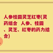 人参桂圆灵芝红枣(灵药组合  人参、桂圆、灵芝、红枣的药力结合)