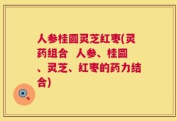 人参桂圆灵芝红枣(灵药组合  人参、桂圆、灵芝、红枣的药力结合)