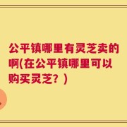 公平镇哪里有灵芝卖的啊(在公平镇哪里可以购买灵芝？)