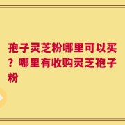 孢子灵芝粉哪里可以买？哪里有收购灵芝孢子粉