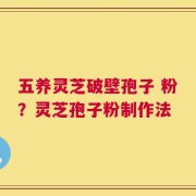 五养灵芝破壁孢子 粉？灵芝孢子粉制作法
