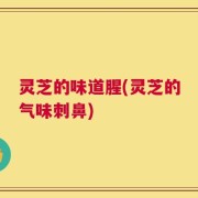 灵芝的味道腥(灵芝的气味刺鼻)