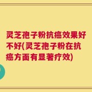 灵芝孢子粉抗癌效果好不好(灵芝孢子粉在抗癌方面有显著疗效)