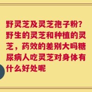 野灵芝及灵芝孢子粉？野生的灵芝和种植的灵芝，药效的差别大吗糖尿病人吃灵芝对身体有什么好处呢